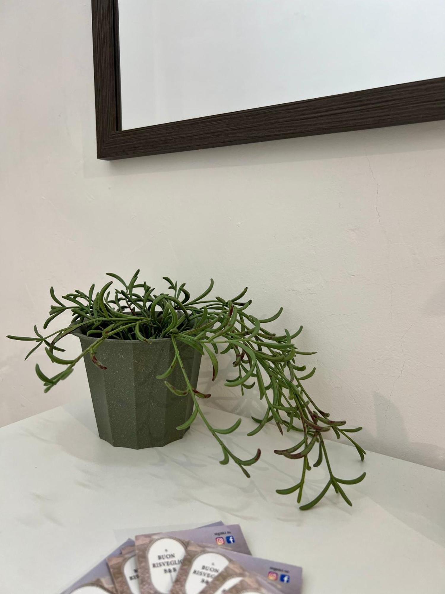 Il Buon Risveglio B&B Agropoli Extérieur photo